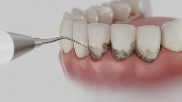 Reliable Dental contractor in Oberlin, KS by Dentist Open Now